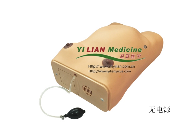 高級孕婦檢查模型